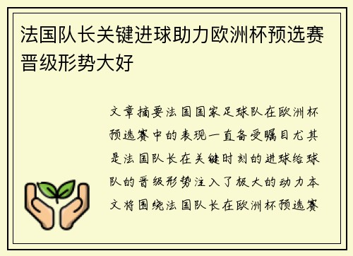 法国队长关键进球助力欧洲杯预选赛晋级形势大好