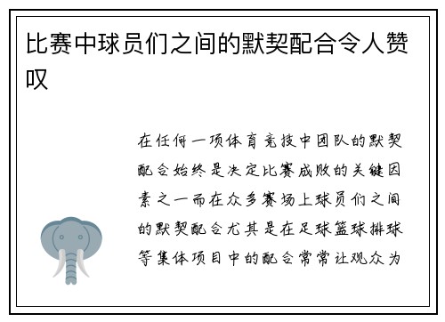 比赛中球员们之间的默契配合令人赞叹